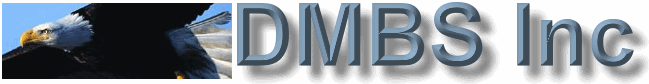 DMBSI INC:  inventory